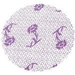 Tapetinho N7 Renda Lilás C/100 Unid Dani Embalagens