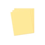 Placa Eva Liso 40x47cm Bege