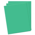 Placa Eva Liso 40x47cm Verde Bandeira